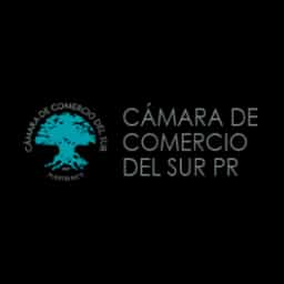 Cámara de comercio del sur